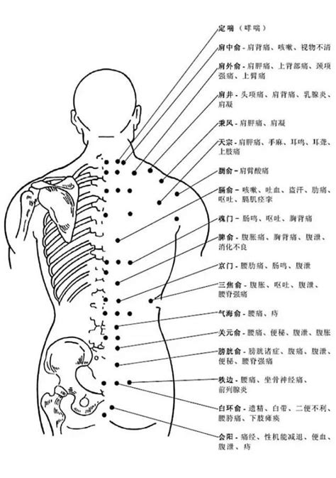 天谷穴|人体穴位图